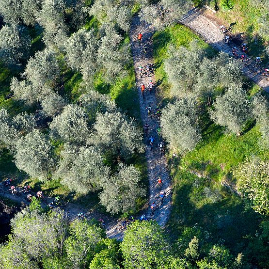 ФВА Велосипедний Фестиваль Гарда Трентіно